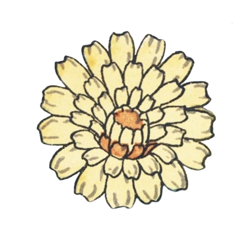 Lion's Tooth Editing